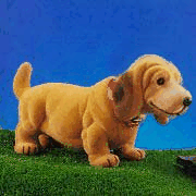 animateddog.gif