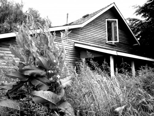 The Shadow Inventory Next Door