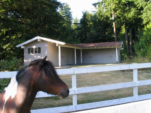 Real Actual Listing Photos: Pretty Pretty Ponies Edition