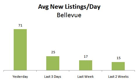 Bellevue Surge